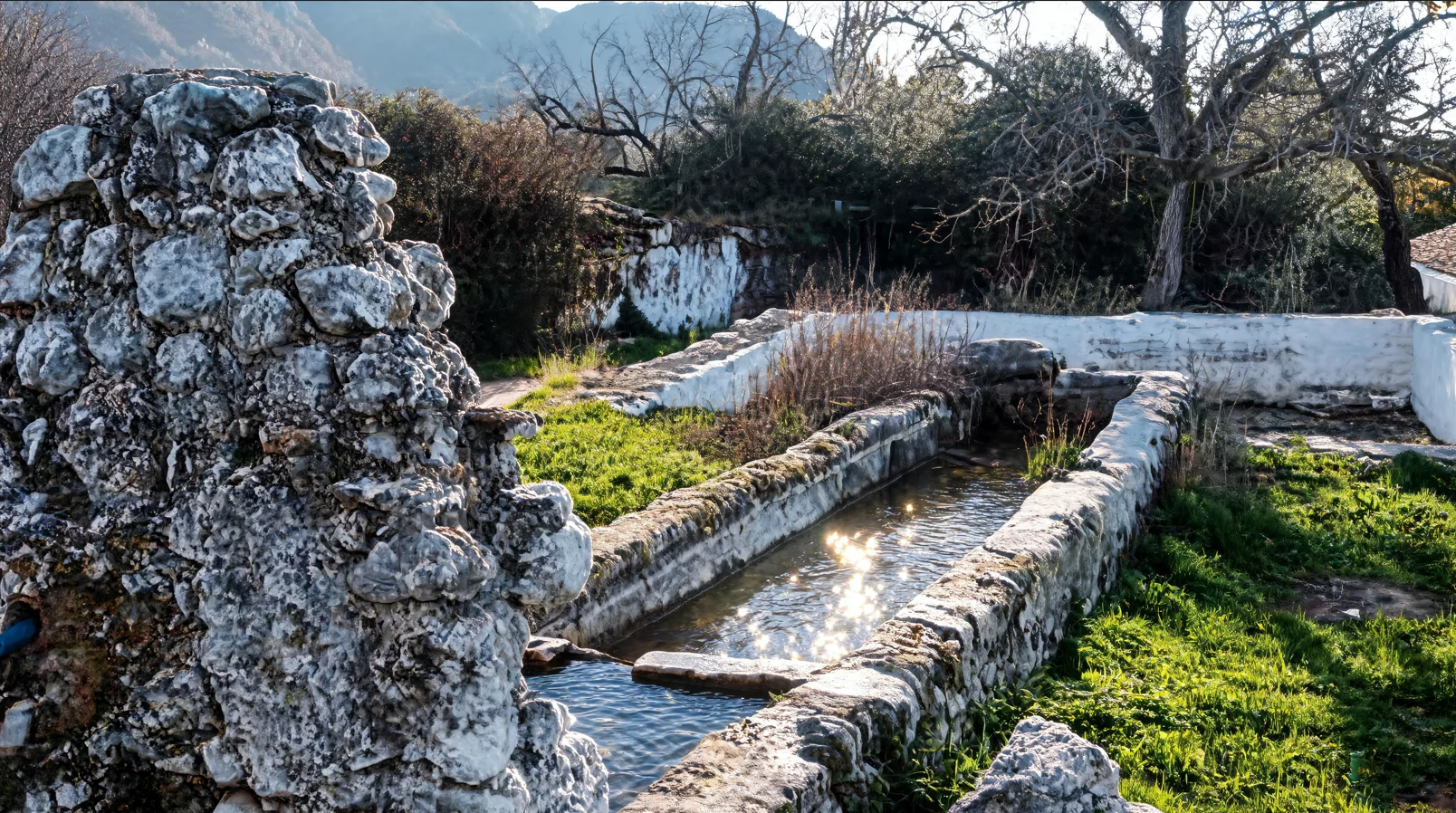 Cortijo Vichira y olivar centenario en el Geoparque UNESCO Sierras Subbéticas